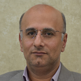 مجید محمدی